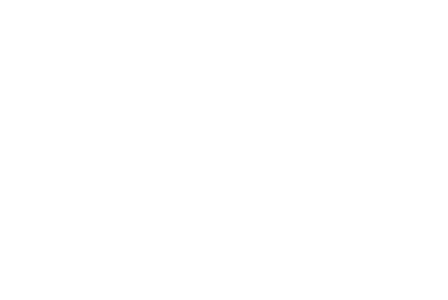 Triad Closets and More Plus Construction Services LLC